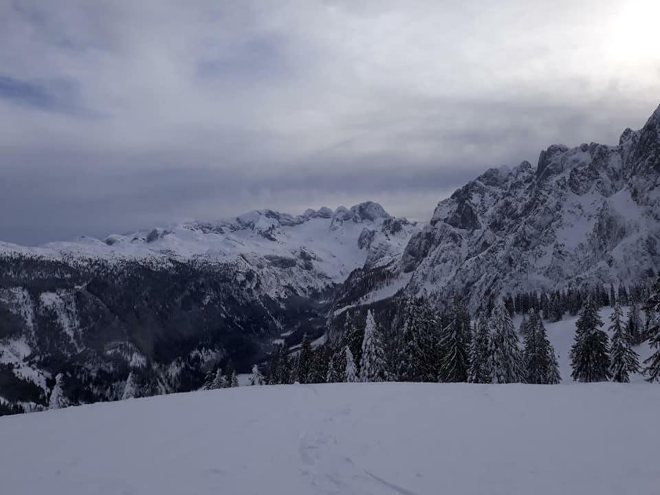 Dachstein View Ski Apartment Gosau Dış mekan fotoğraf