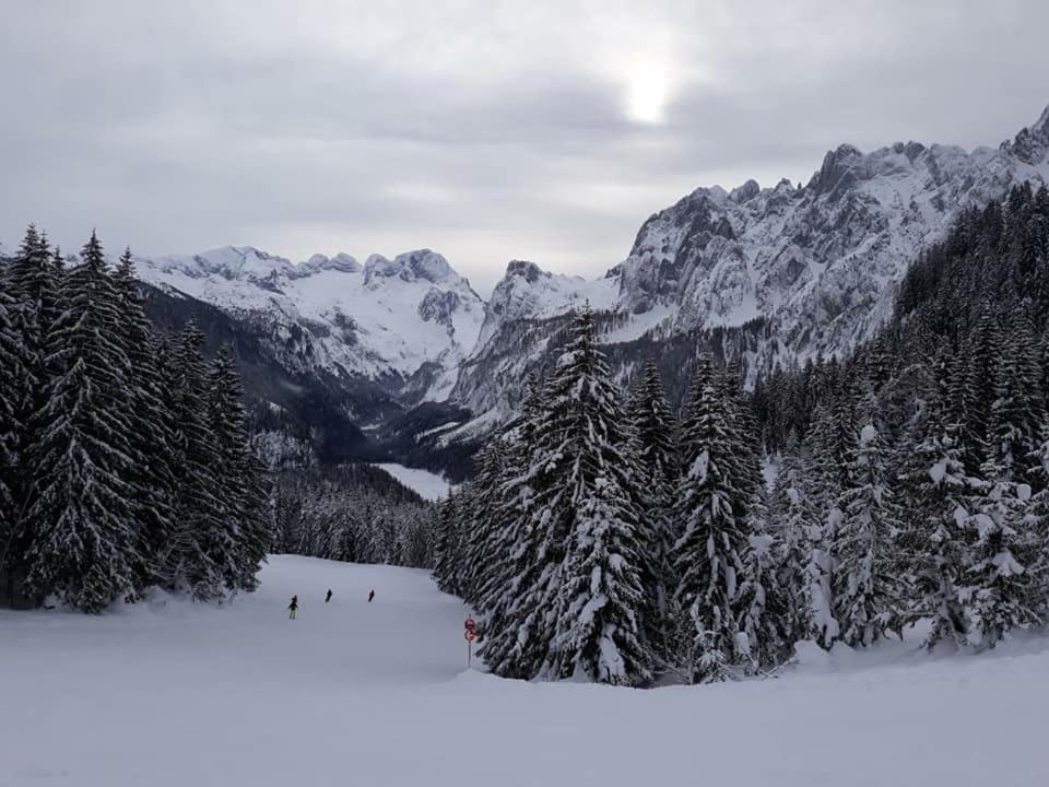 Dachstein View Ski Apartment Gosau Dış mekan fotoğraf